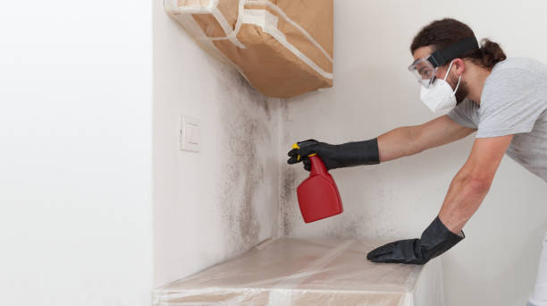 Professional Mold Testing technician working in Honor, MI