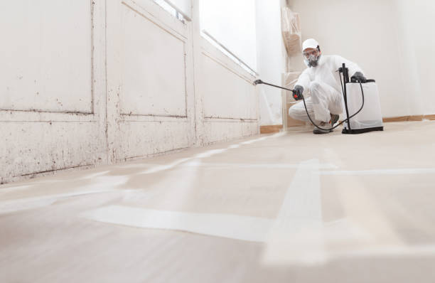 24/7 Emergency Mold Testing experts in Honor, MI